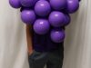 Thomas Brady, 9; grapes