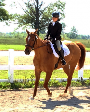 Horse of a Different Color