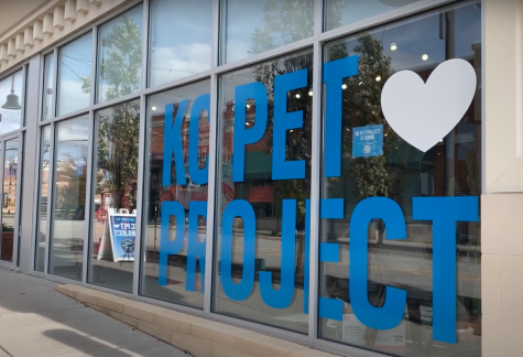 KC Pet Project: Volunteers Are Animals Advocates