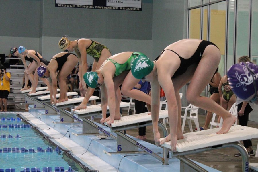 Swimmers prepare to dive in Dec. 6 at the Gladstone Community Center natatorium. 
