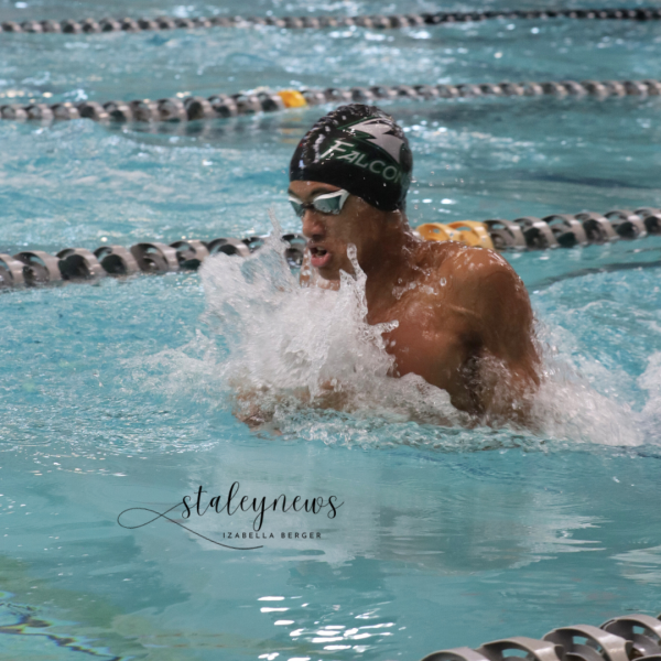 Finals day of the 2024-2025 Class 2 Boys Swimming and Diving State Tournament, St. Peters, Missouri, Nov. 15
