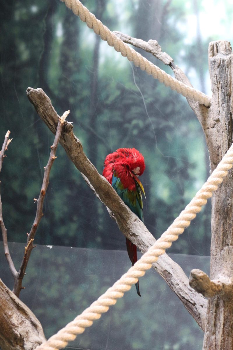 The 'Discovery Barn' at the KC Zoo