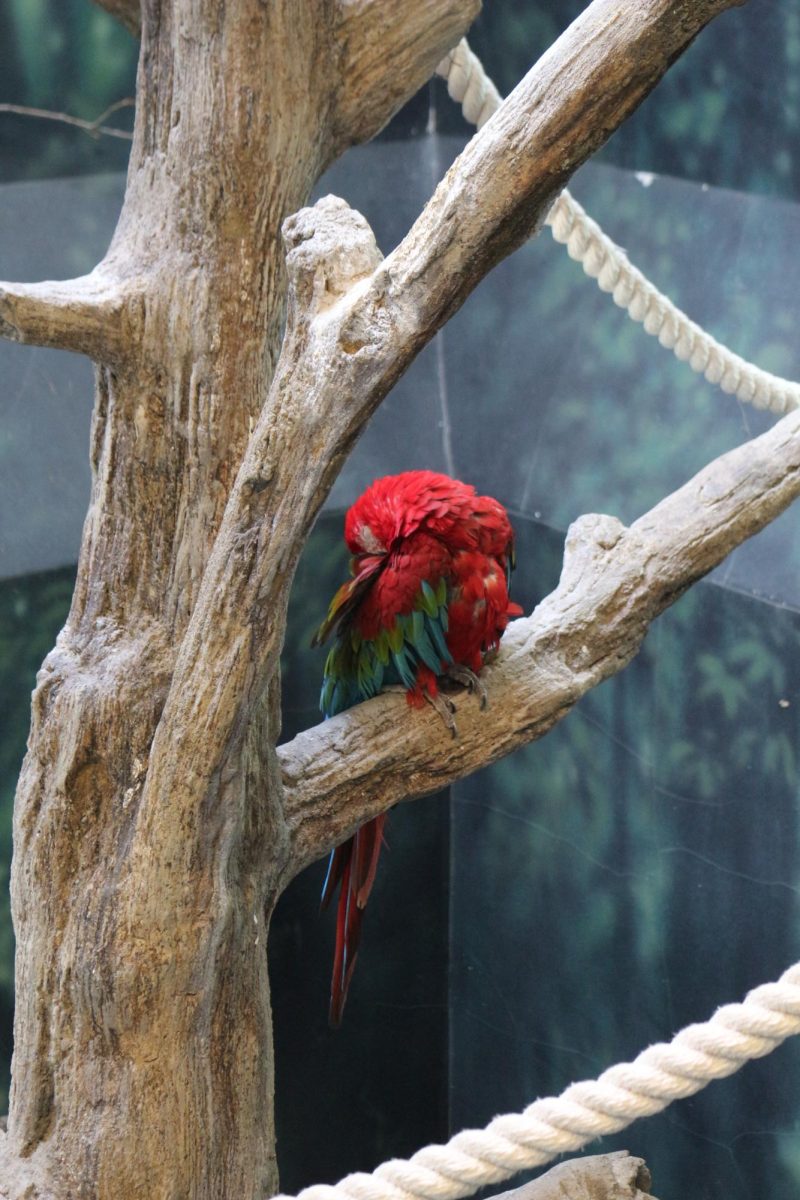 The 'Discovery Barn' at the KC Zoo