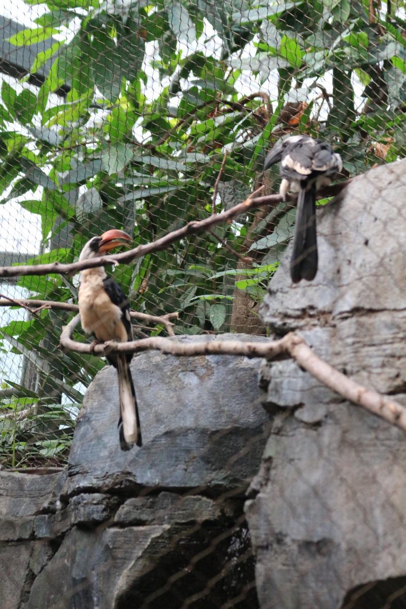 Bird enclosure at the KC Zoo