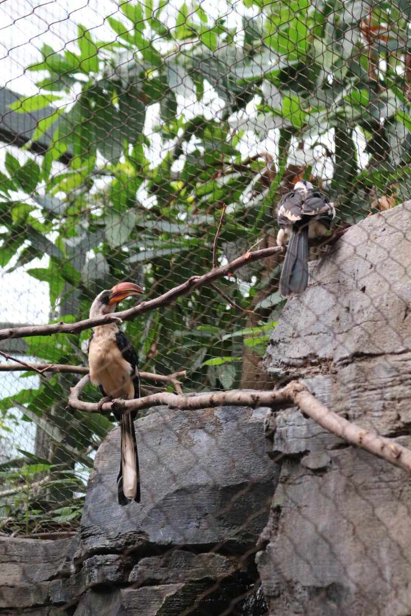 Bird enclosure at the KC Zoo