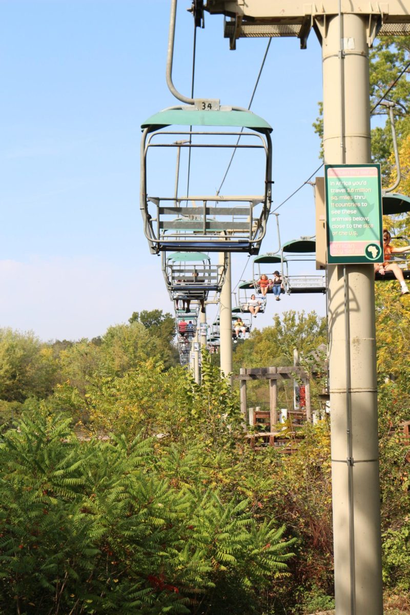 'Sky Safari' at the KC Zoo