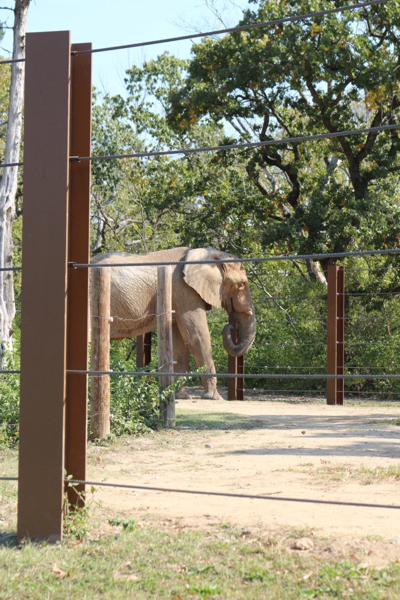 Elephant exhibit at the KC Zoo