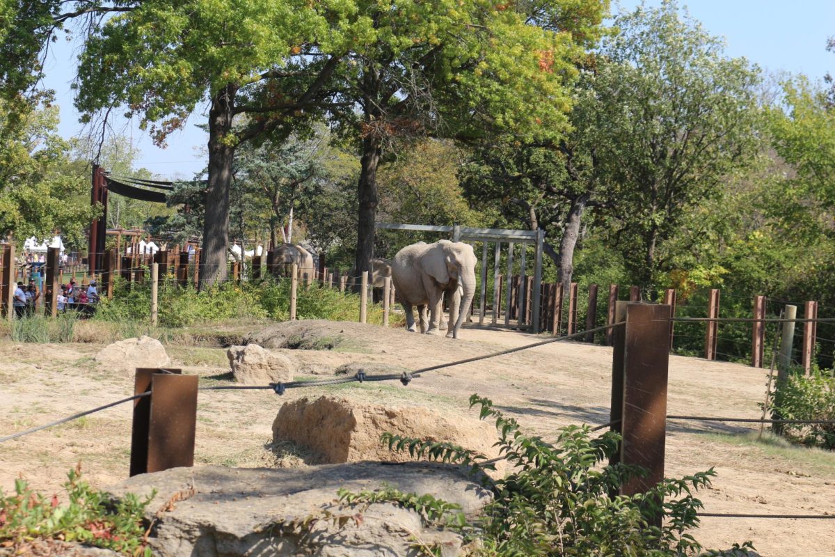 Elephant pathway at the KC Zoo