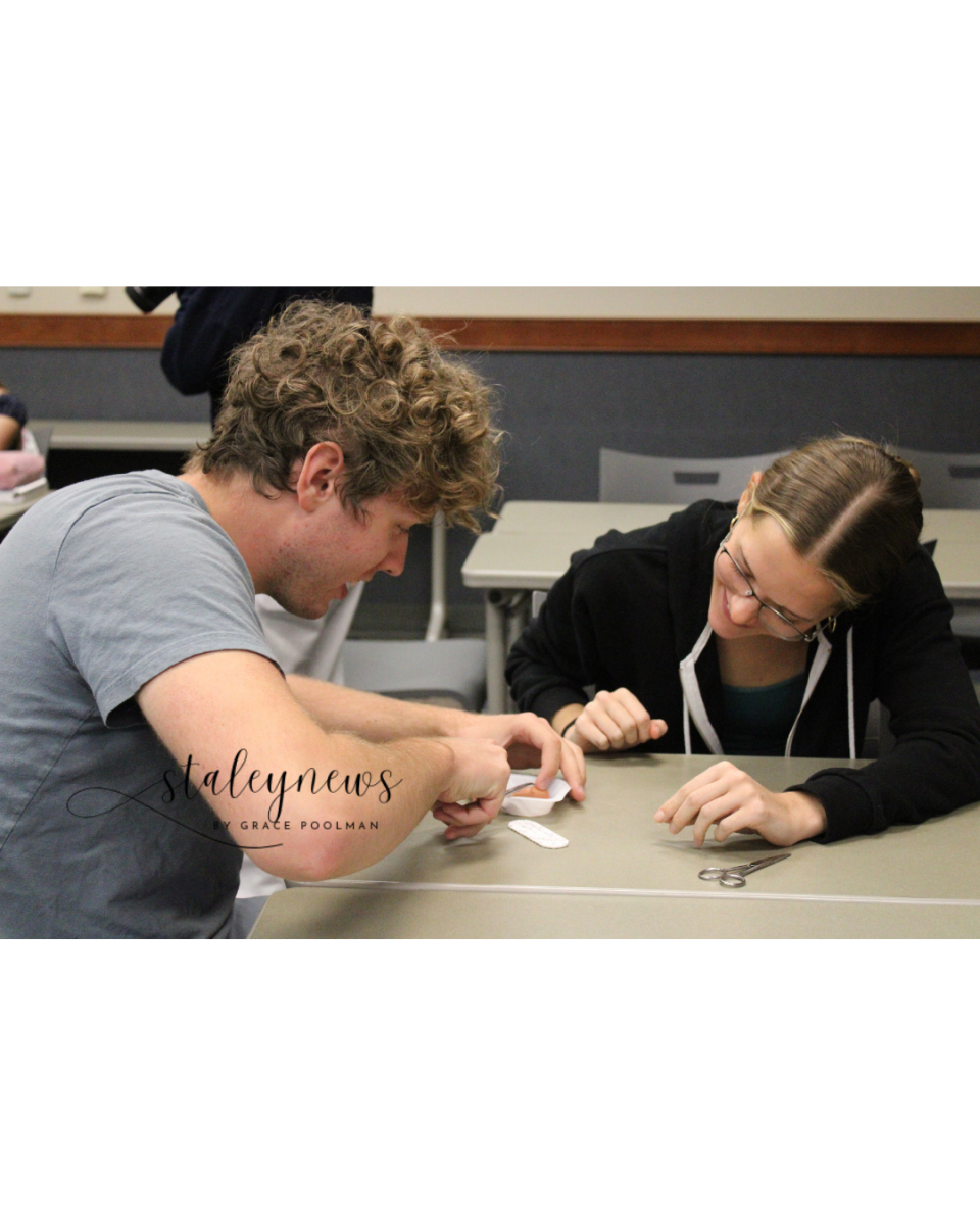 Future Health Professionals Work On Sutures