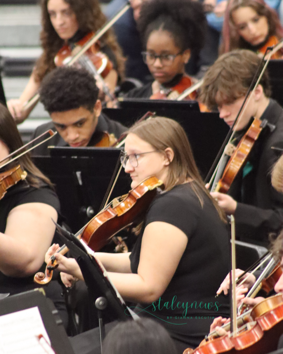 Orchestra Hosts Feeder School Musicians