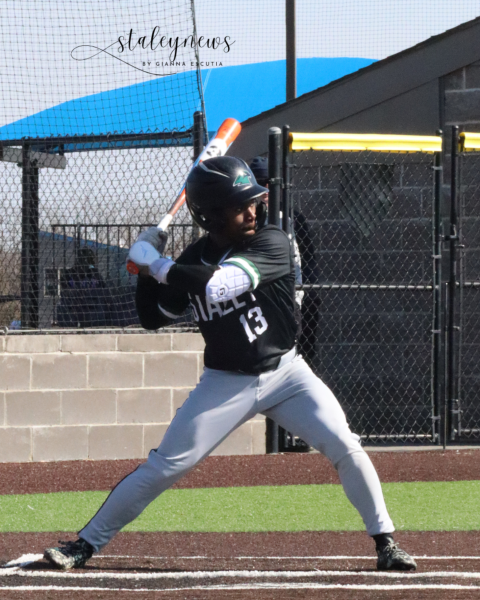 Spring Sports Get Into Swing Of Things