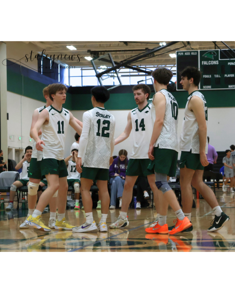 Boys Volleyball Sweeps Staley Tournament