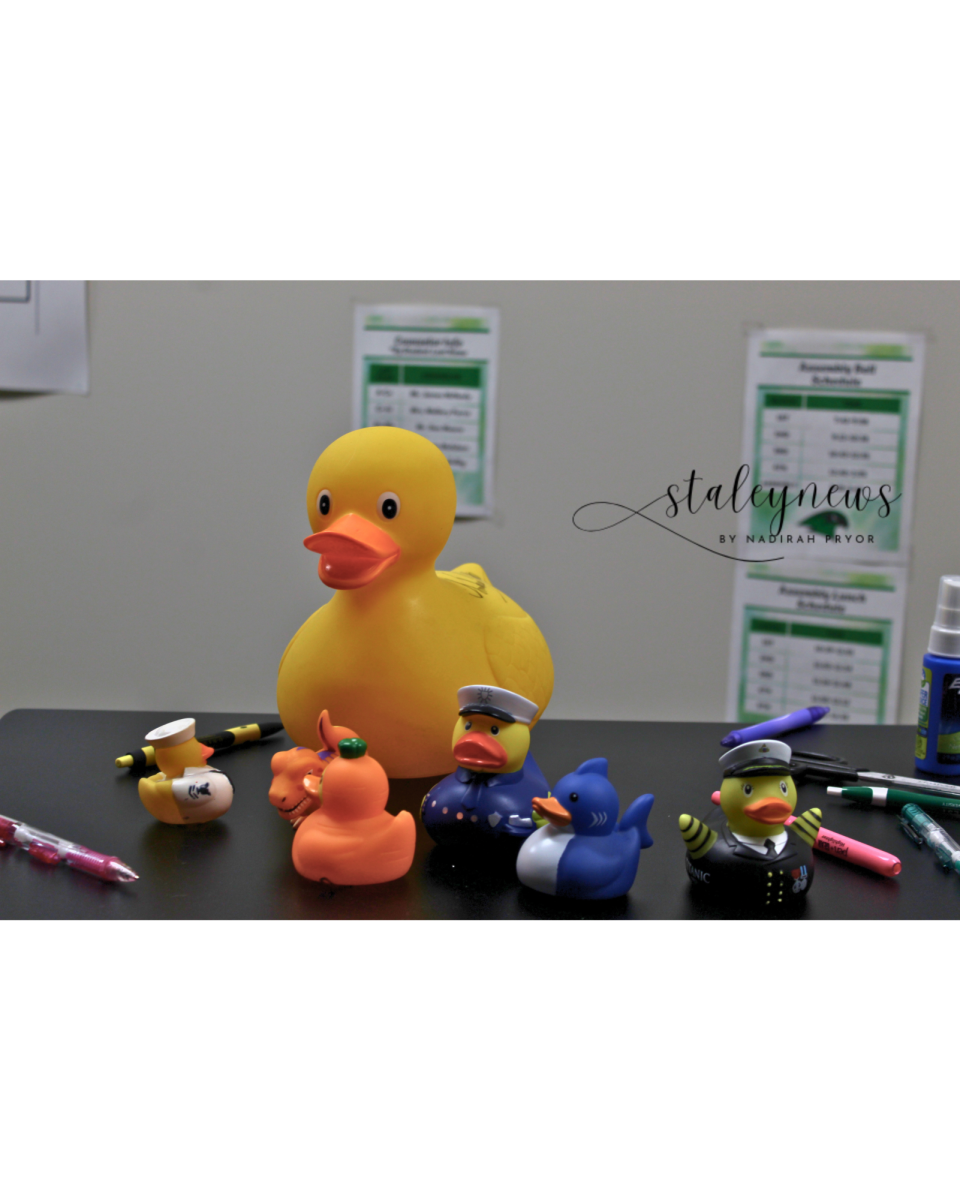 Cybersecurity Students Solve Case Of 'Missing Ducks'