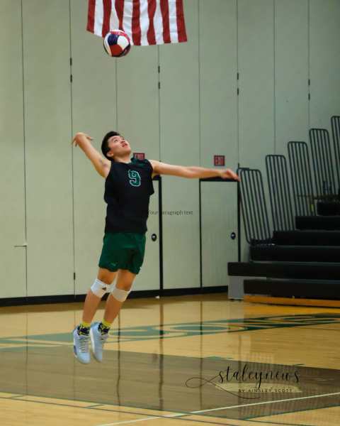 Boys Volleyball Advances In Districts